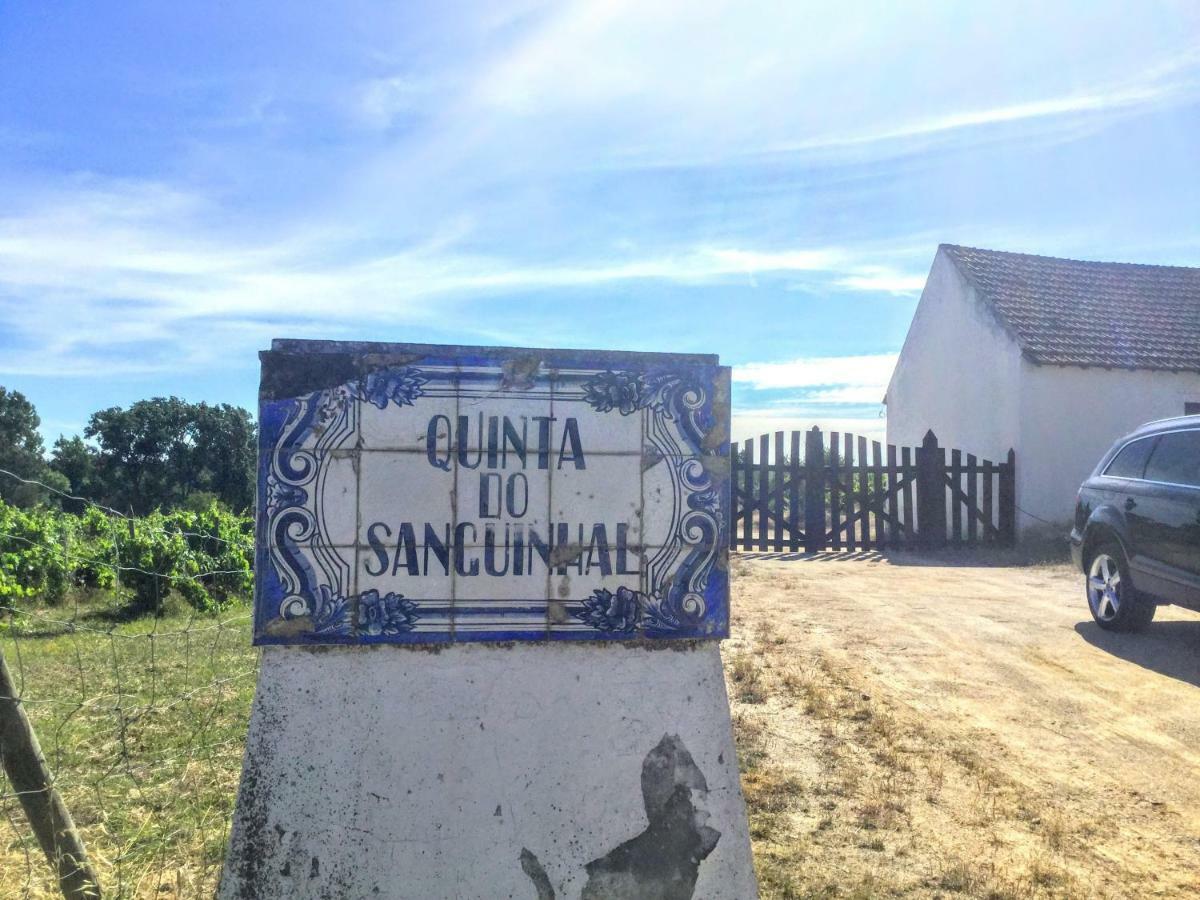 Quinta Do Sanguinhal Villa Rio Maior Bagian luar foto
