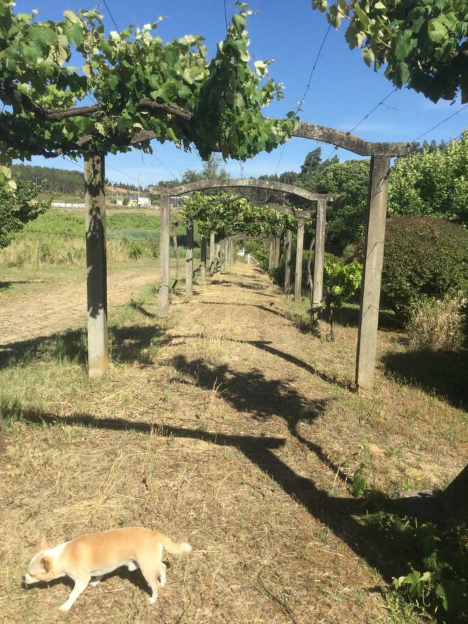 Quinta Do Sanguinhal Villa Rio Maior Bagian luar foto
