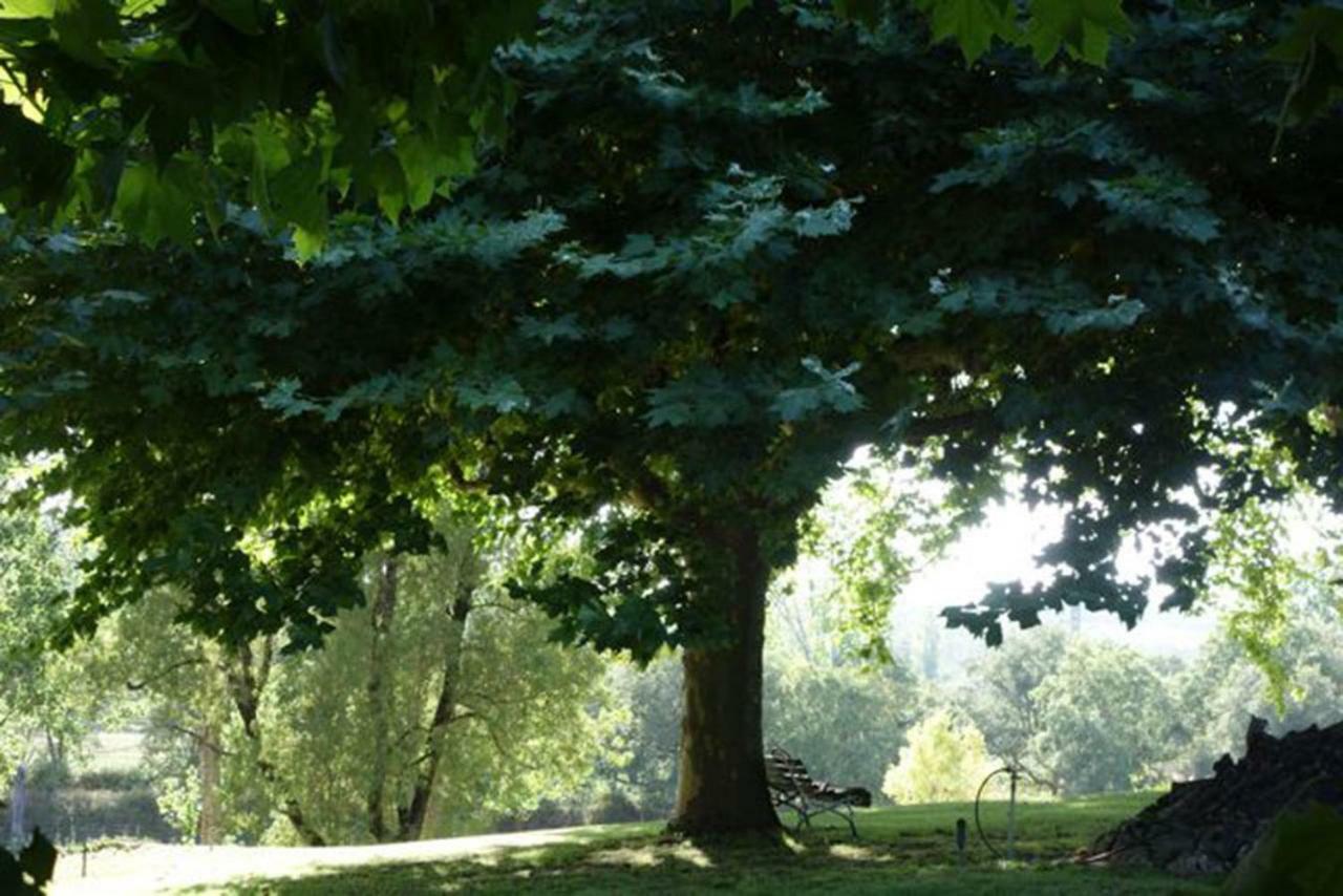 Quinta Do Sanguinhal Villa Rio Maior Bagian luar foto