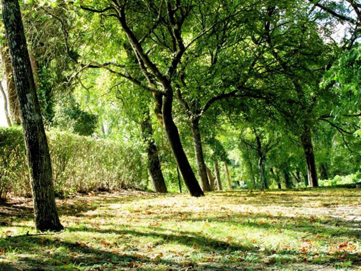 Quinta Do Sanguinhal Villa Rio Maior Bagian luar foto